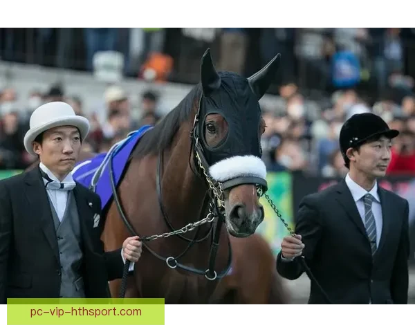 足球农庄直播回放精彩赛事全解析与高光瞬间重温指南深度复盘看点